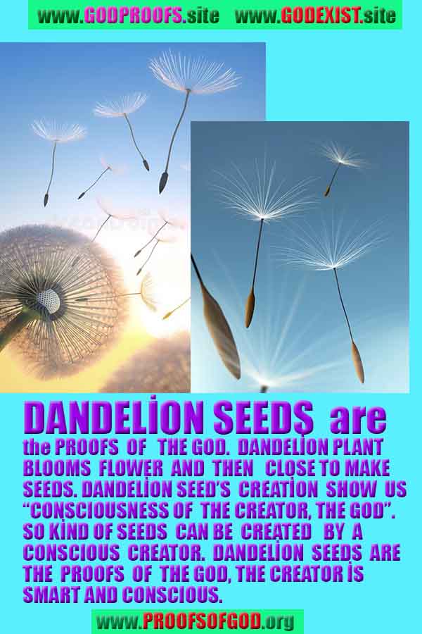 proofs of god and evidences of god