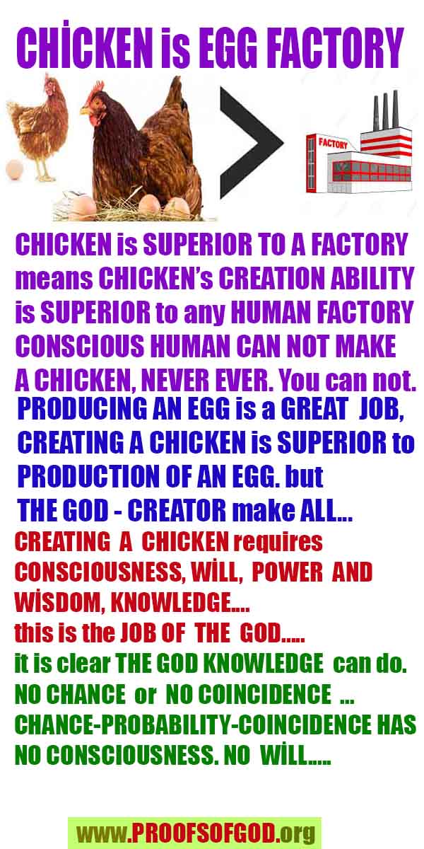 proofs of god, evidences of god, god-proofs  