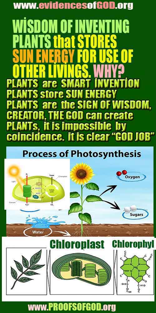  evidences of god,  god exists 