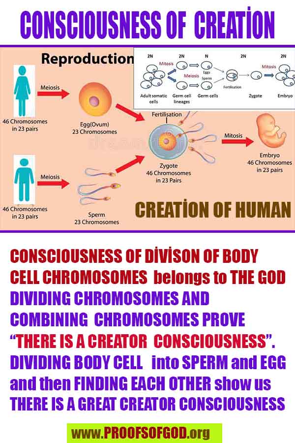 proofs of god,   god exists  