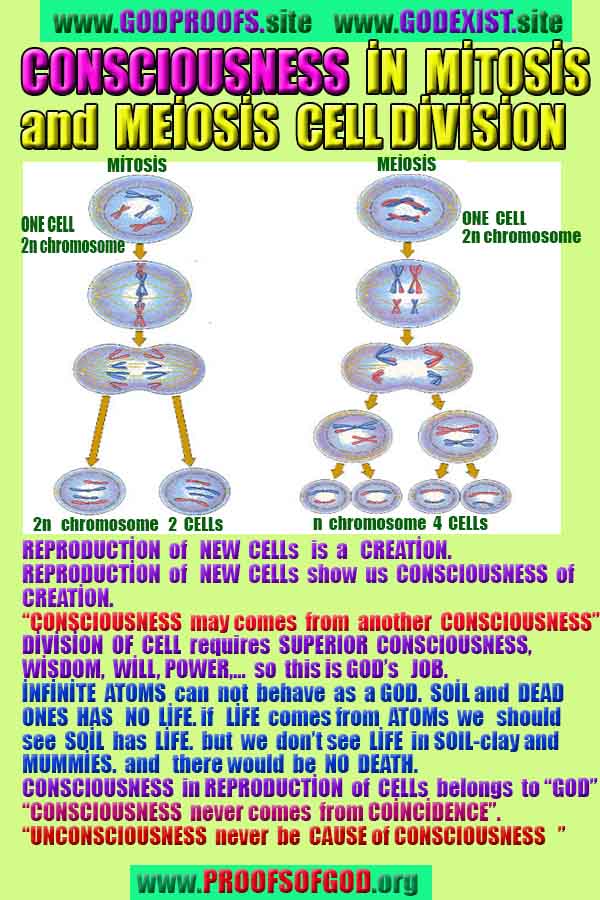 proofs of god, evidences of god, god-proofs, god-signs, god-evidences, god exists