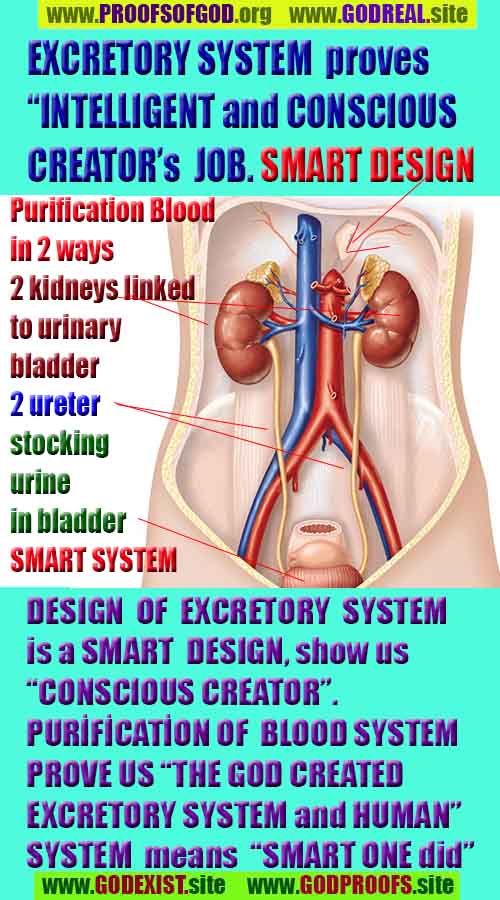 proofs of god, evidences of god, god-proofs, god-signs, god-evidences, god exists  
