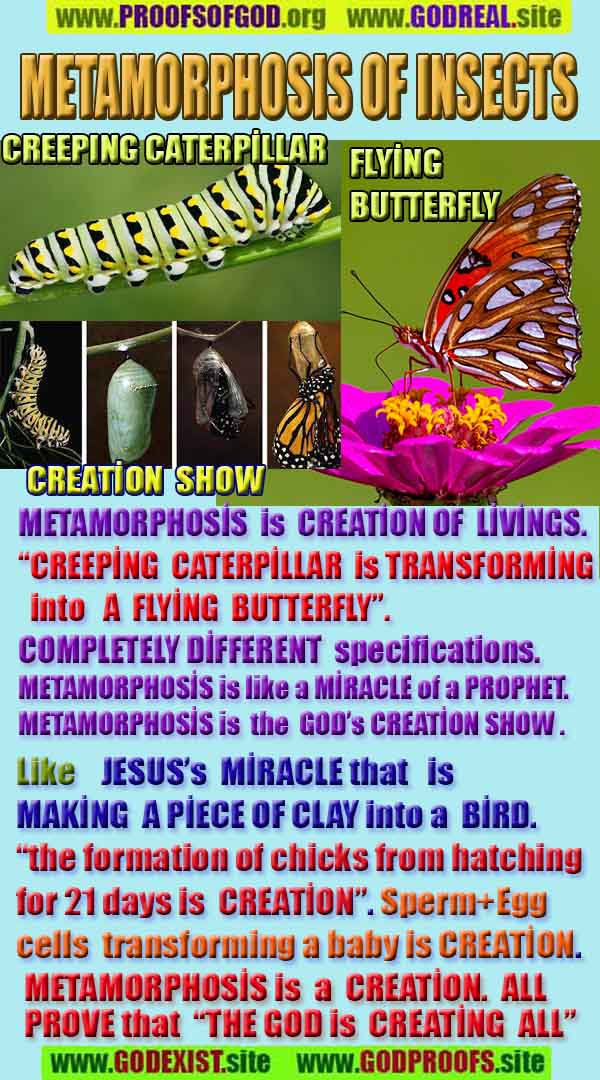 proofs of god, evidences of god, god-proofs, god-signs, god-evidences, god exists   