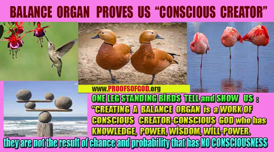 proofs of god, evidences of god, god-proofs, god-signs, god-evidences, god exists   