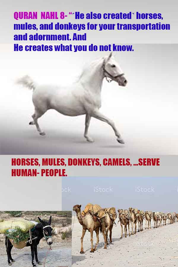proofs of god, evidences of god, god-proofs, god-signs, god-evidences, god exists  