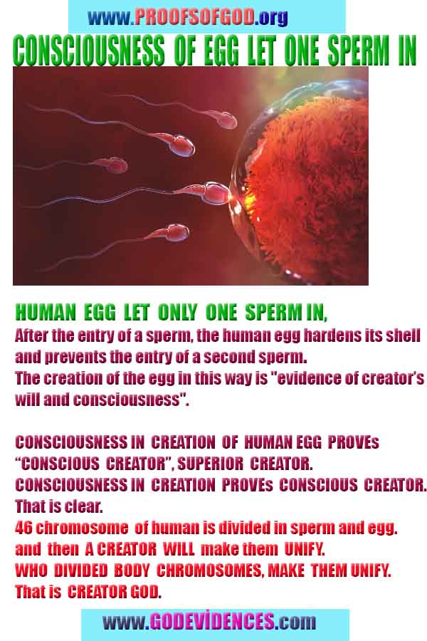 proofs of god, evidences of god, god-proofs, god-signs, god-evidences, god exists   
