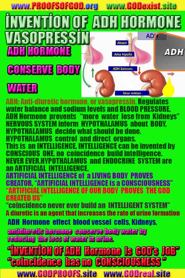 proofs of god, evidences of god, god-proofs, god-signs, god-evidences, god exists   