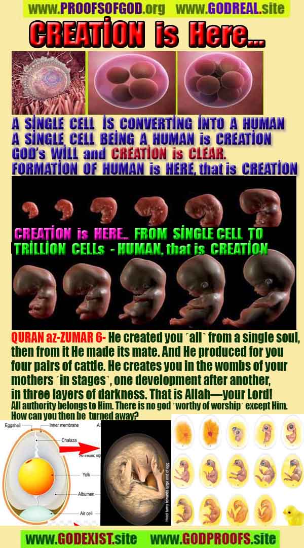 proofs of god, evidences of god, god-proofs, god-signs, god-evidences, god exists  