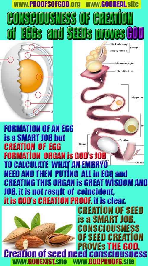 proofs of god, evidences of god, god-proofs, god-signs, god-evidences, god exists   