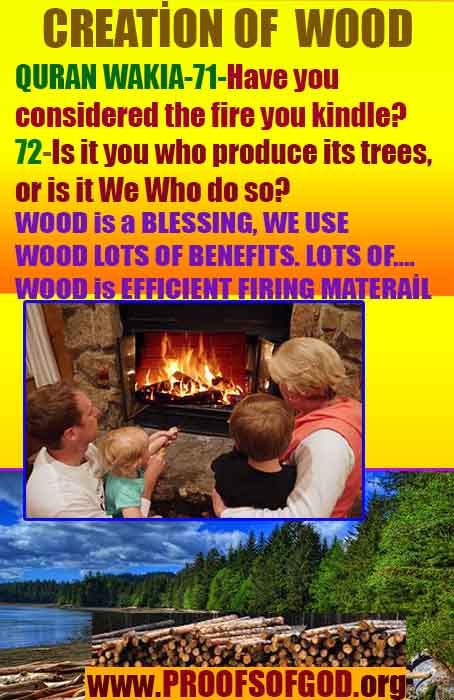 proofs of god, evidences of god, god-proofs, god-signs, god-evidences, god exists   