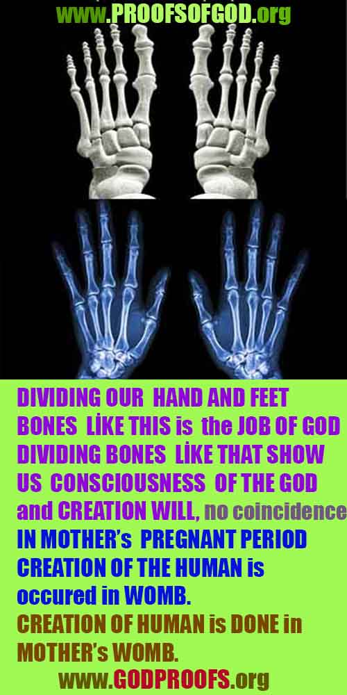 proofs of god, evidences of god, god-proofs, god-signs, god-evidences, god exists   
