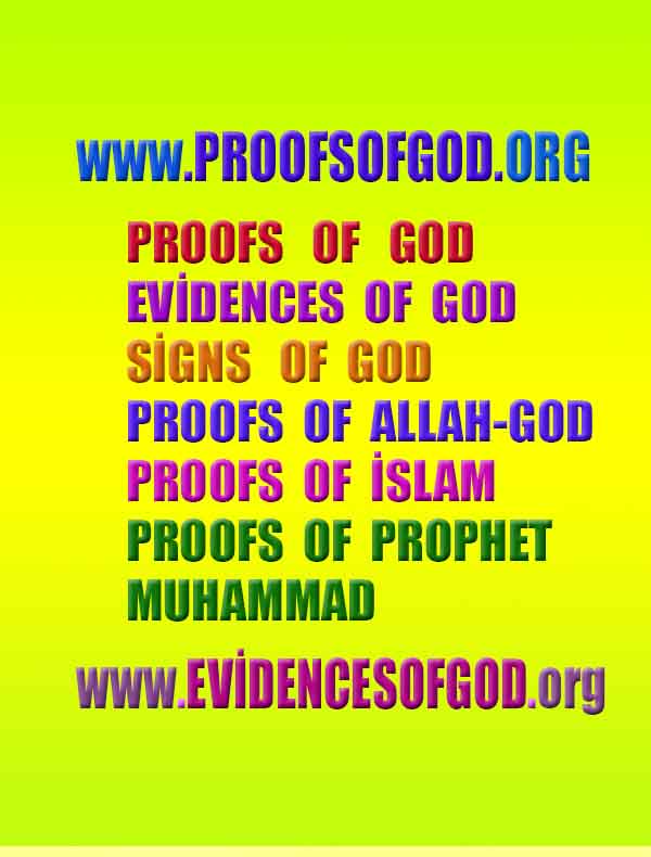 proofs of god, evidences of god, god-proofs, god-signs, god-evidences, god exists  