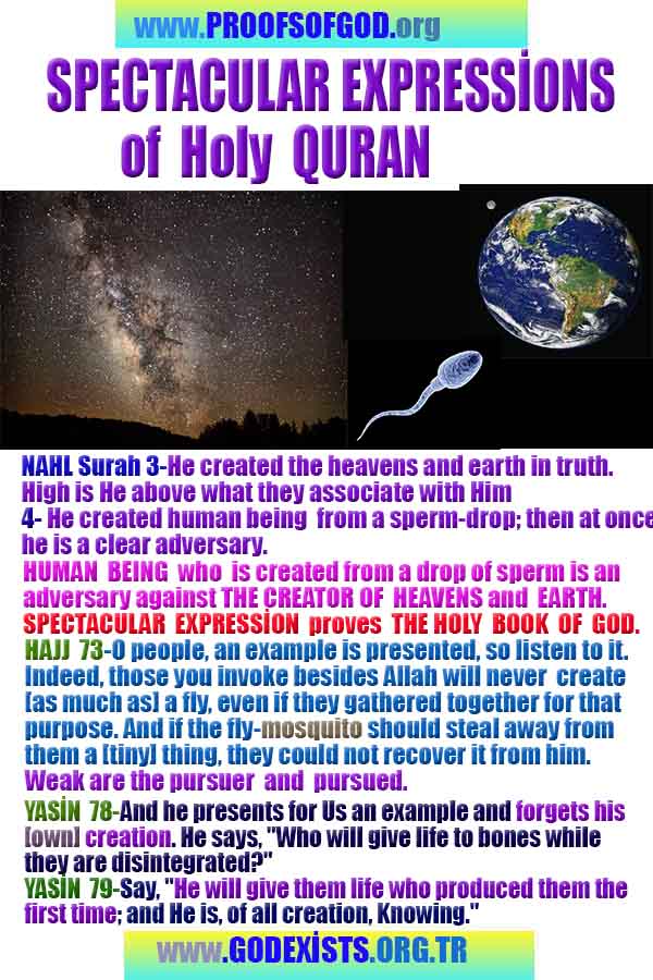 proofs of god, evidences of god, god-proofs, god-signs, god-evidences, god exists   