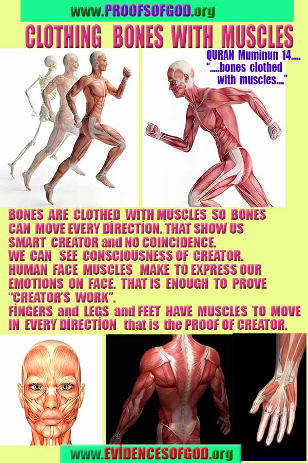 proofs of god, evidences of god, god-proofs, god-signs, god-evidences, god exists   