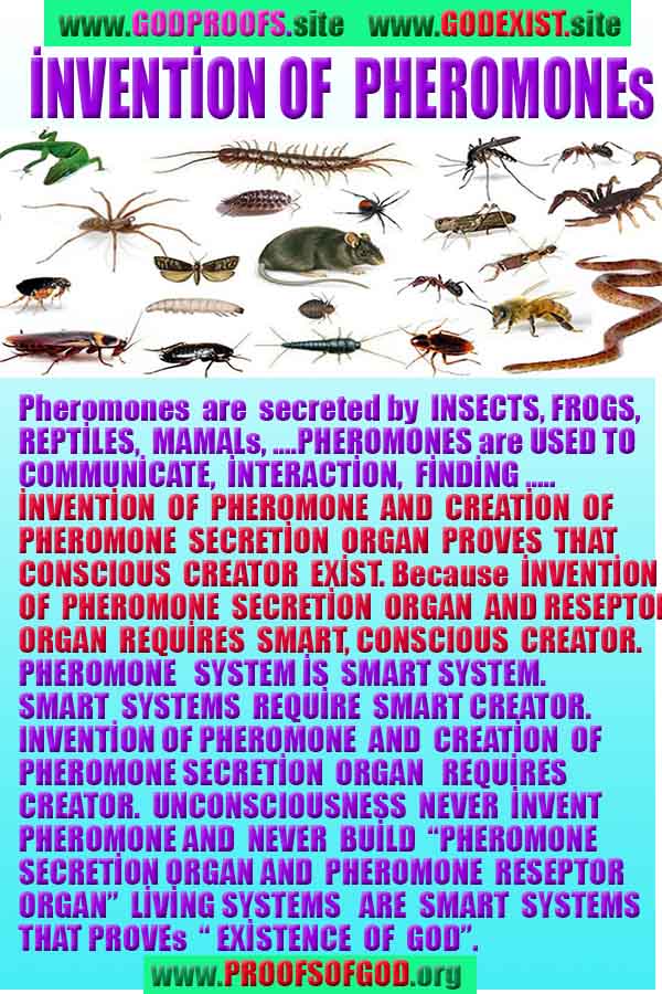 proofs of god, evidences of god, god-proofs, god-signs, god-evidences, god exists   