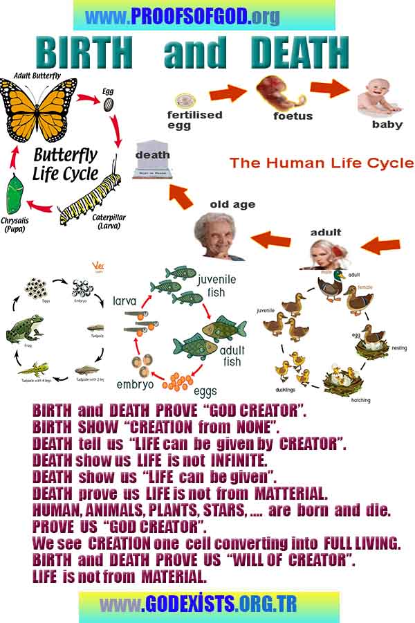 proofs of god, evidences of god, god-proofs, god-signs, god-evidences, god exists   
