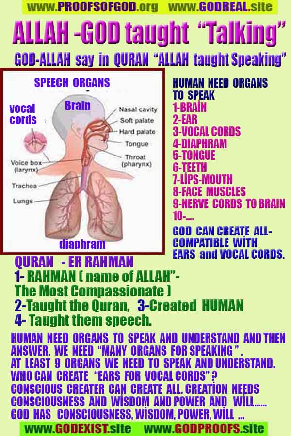 proofs of god, evidences of god, god-proofs, god-signs, god-evidences, god exists， 