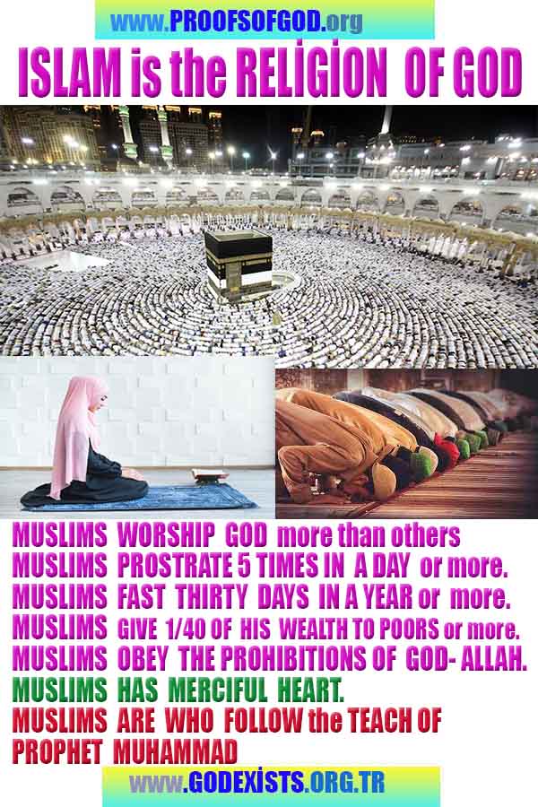 proofs of god, evidences of god, god-proofs, god-signs, god-evidences, god exists  
