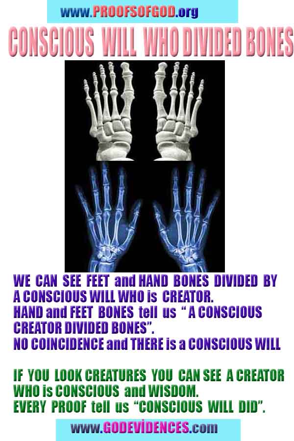 god created all proofs