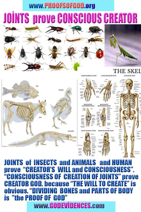 god created all proofs