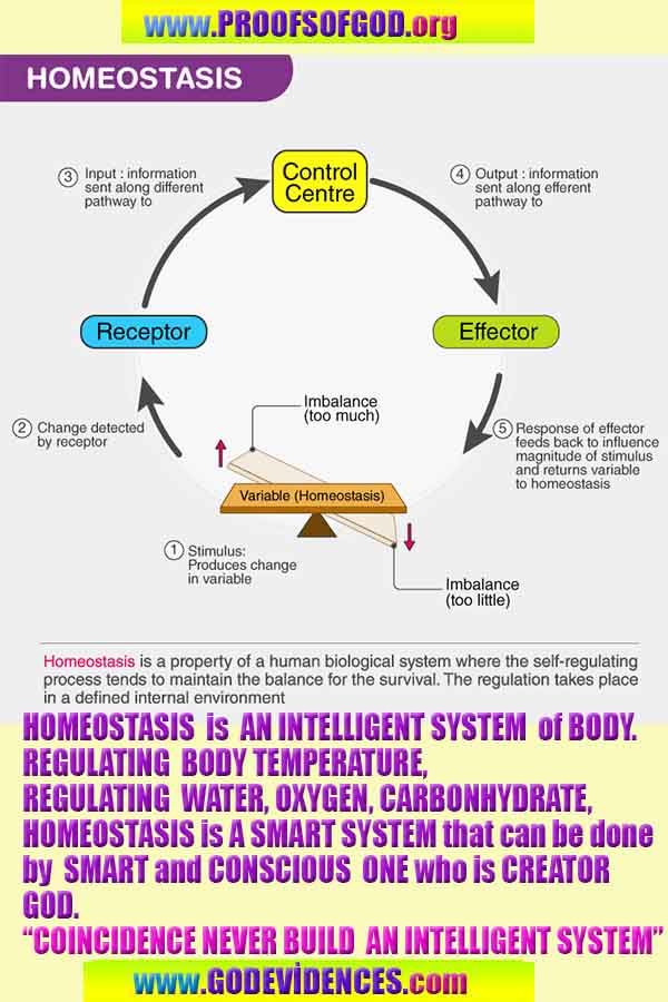 evidences and proofs god exists and real 