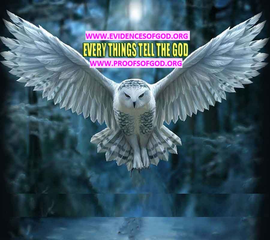 god created all proofs